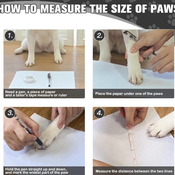 NWB EXPAWLORER .. DOGGIE SOCKS - Picture 9 of 9